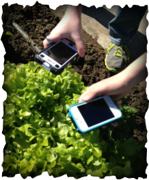 BYOD to the garden